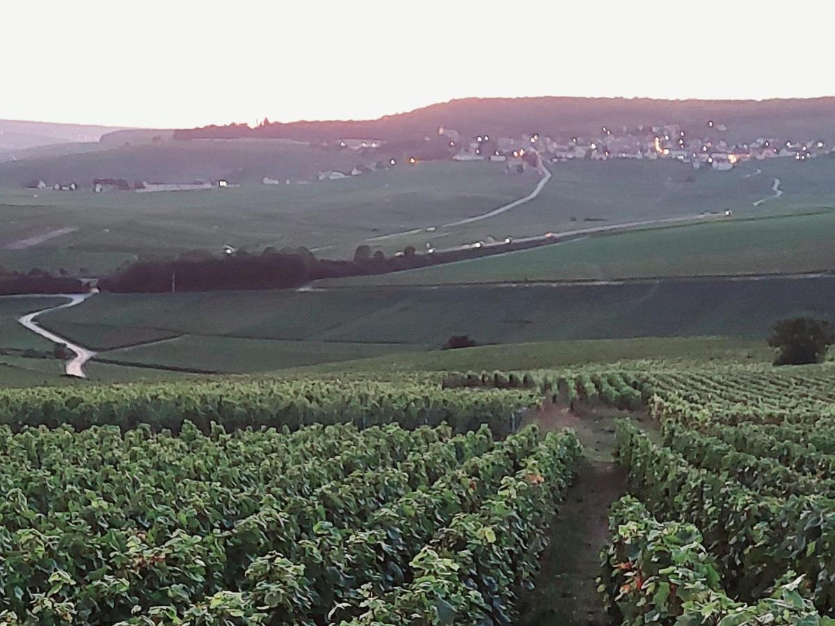 Epernay Capital De Champagne Apartamento Exterior foto